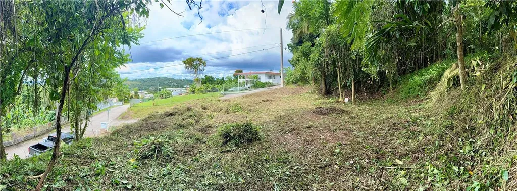 Calle Pineros Cayey PR 00736