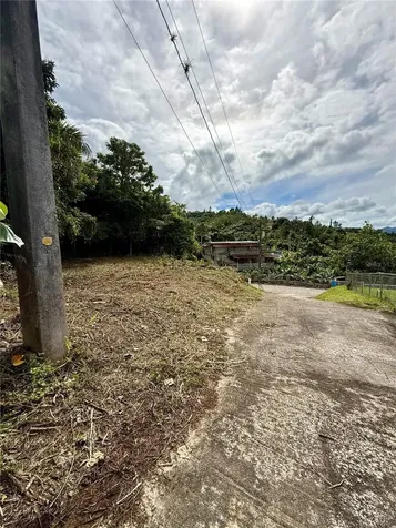 Calle Pineros Cayey PR 00736