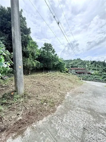 Calle Pineros Cayey PR 00736
