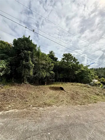 Calle Pineros Cayey PR 00736