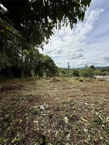 Calle Pineros Cayey PR 00736