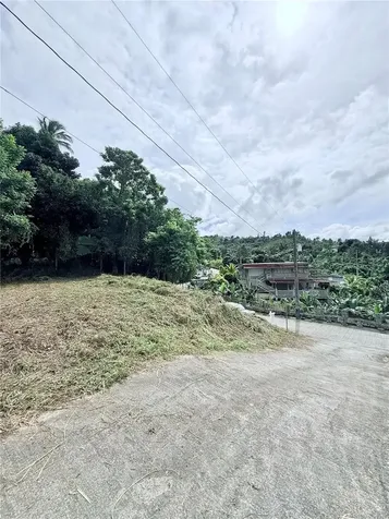 Calle Pineros Cayey PR 00736
