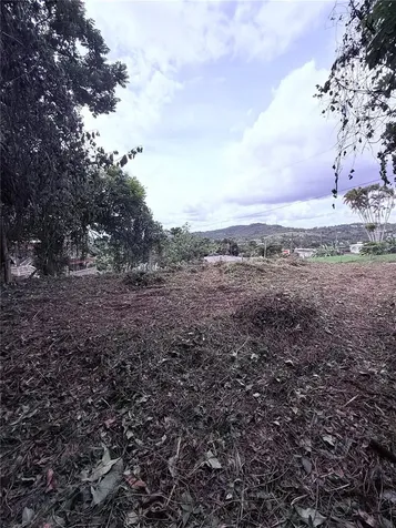Calle Pineros Cayey PR 00736