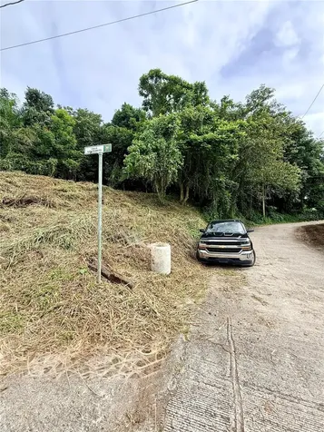 Calle Pineros Cayey PR 00736
