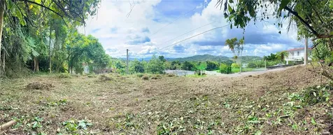 Calle Pineros Cayey PR 00736