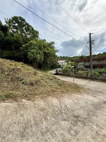 Calle Pineros Cayey PR 00736