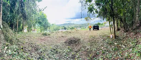 Calle Pineros Cayey PR 00736
