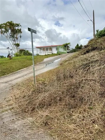 Calle Pineros Cayey PR 00736