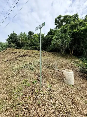 Calle Pineros Cayey PR 00736