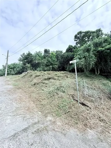 Calle Pineros Cayey PR 00736