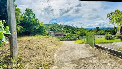 Calle Pineros Cayey PR 00736