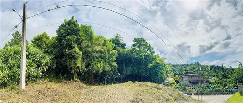 Calle Pineros Cayey PR 00736