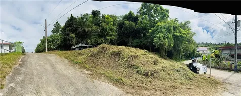 Calle Pineros Cayey PR 00736