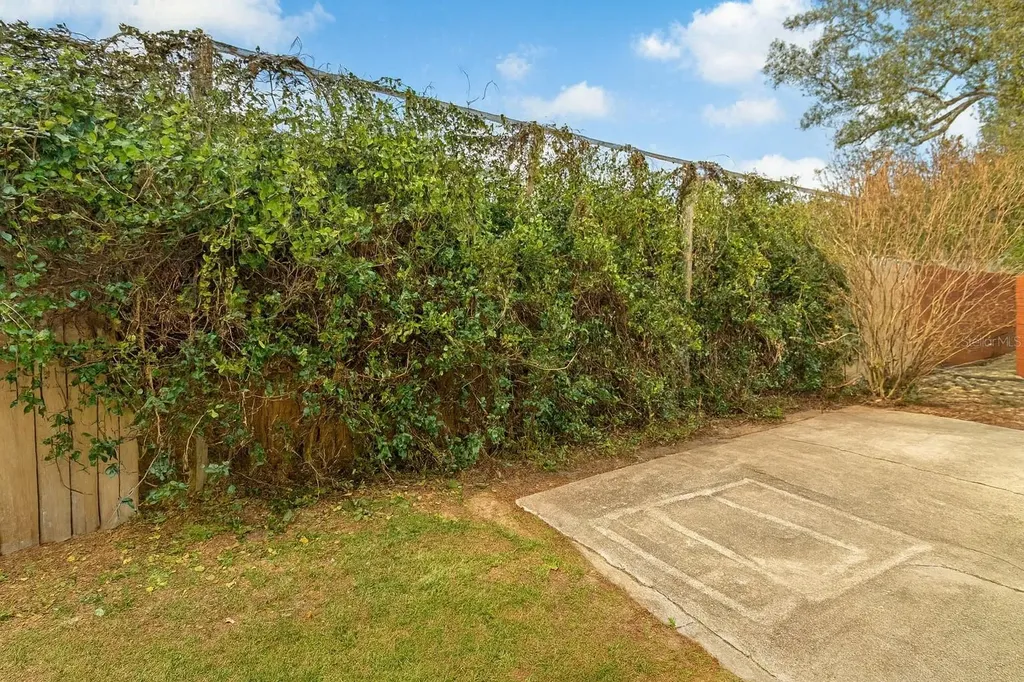 21135 Peckham Avenue Mount Dora FL 32757