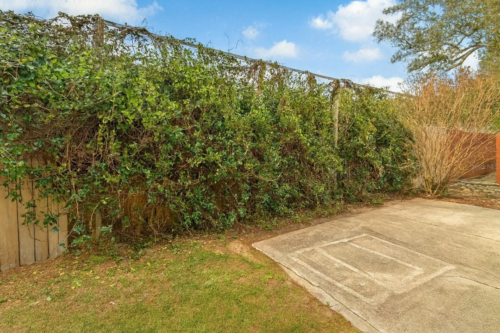 21135 Peckham Avenue Mount Dora FL 32757