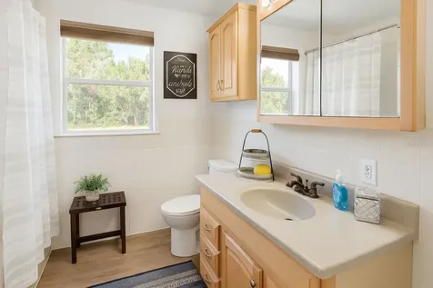 21135 Peckham Avenue Mount Dora FL 32757