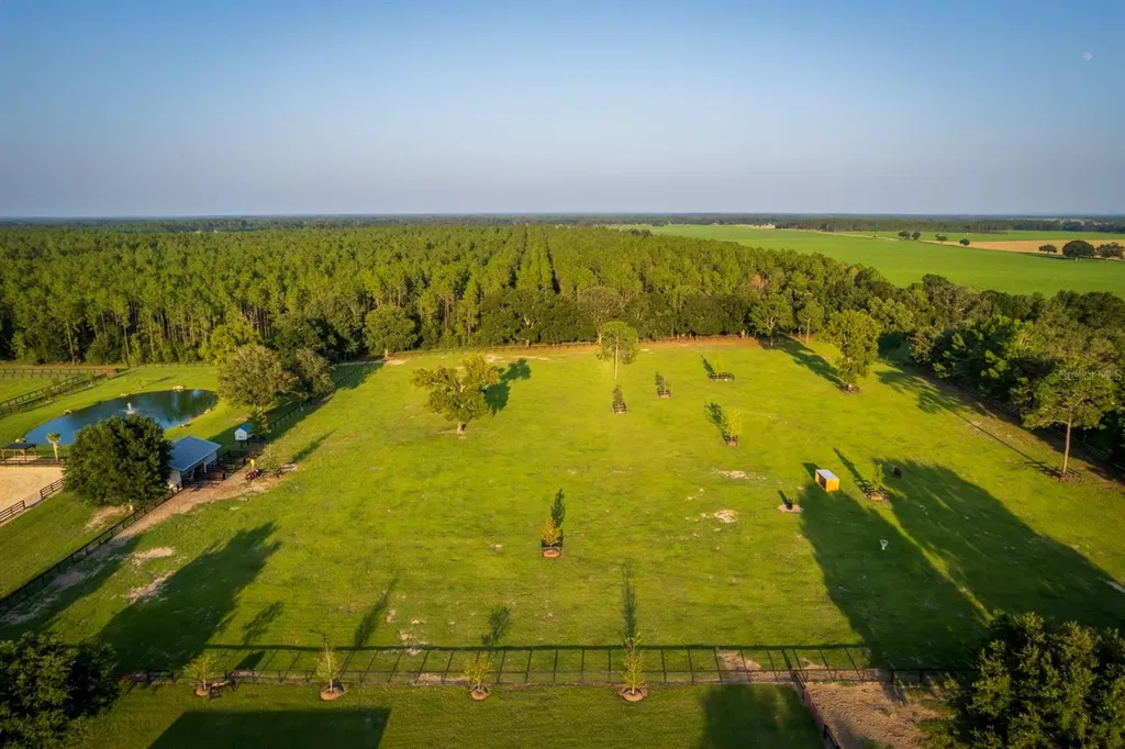 3650 SE 165th Avenue Morriston FL 32668