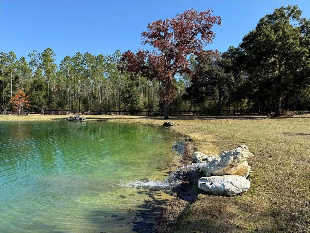 3650 SE 165th Avenue Morriston FL 32668