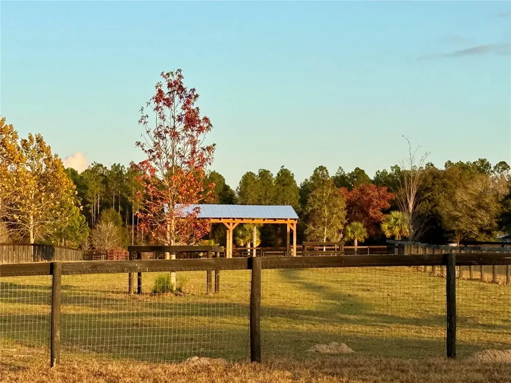 3650 SE 165th Avenue Morriston FL 32668