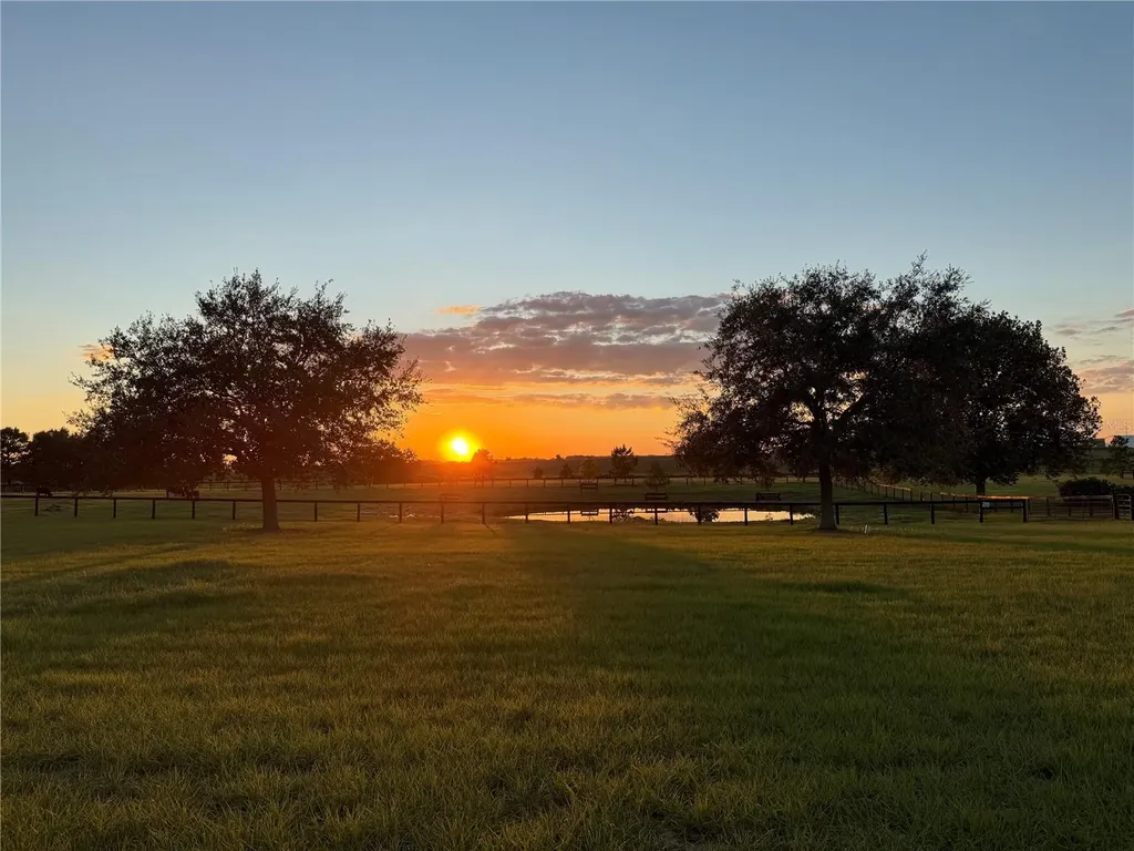 3650 SE 165th Avenue Morriston FL 32668