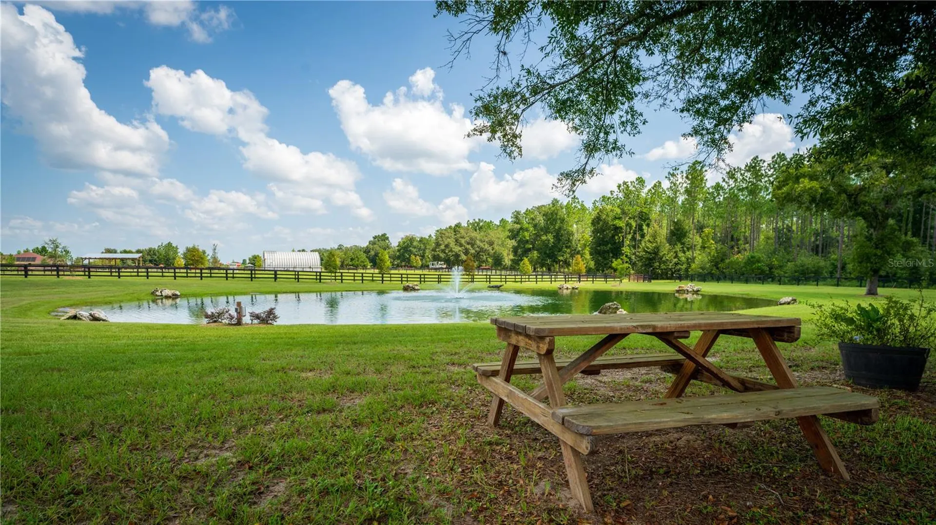 3650 SE 165th Avenue Morriston FL 32668