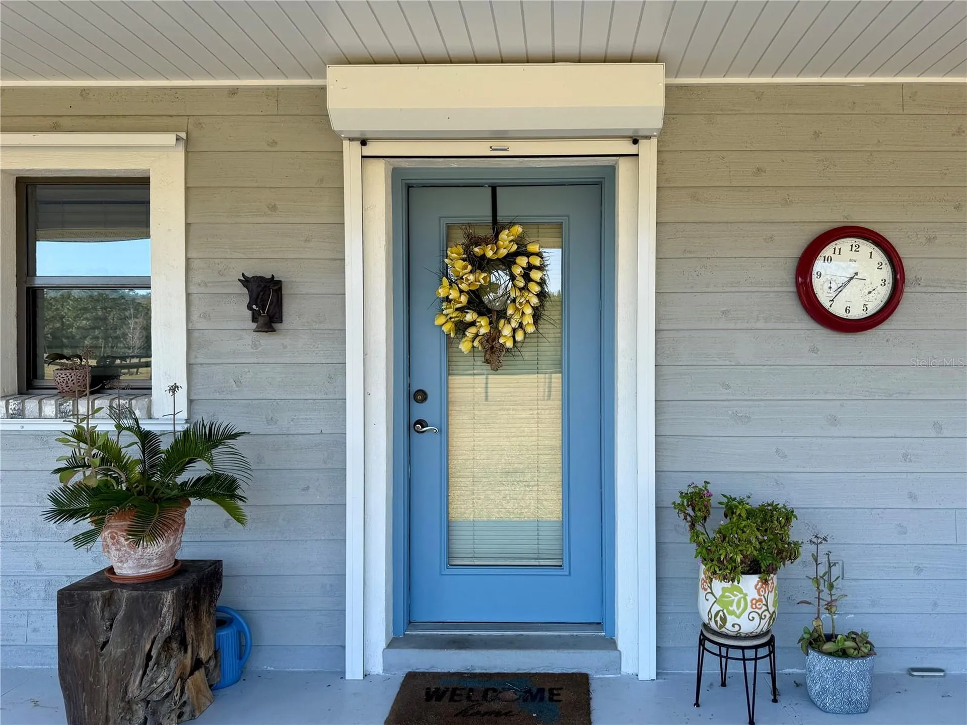 3650 SE 165th Avenue Morriston FL 32668