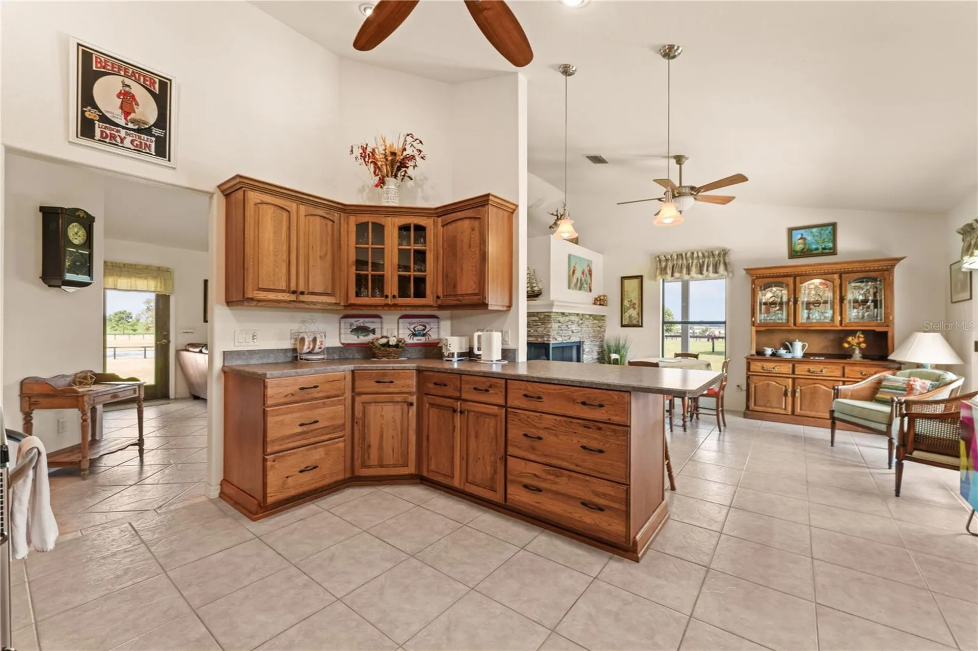 3650 SE 165th Avenue Morriston FL 32668