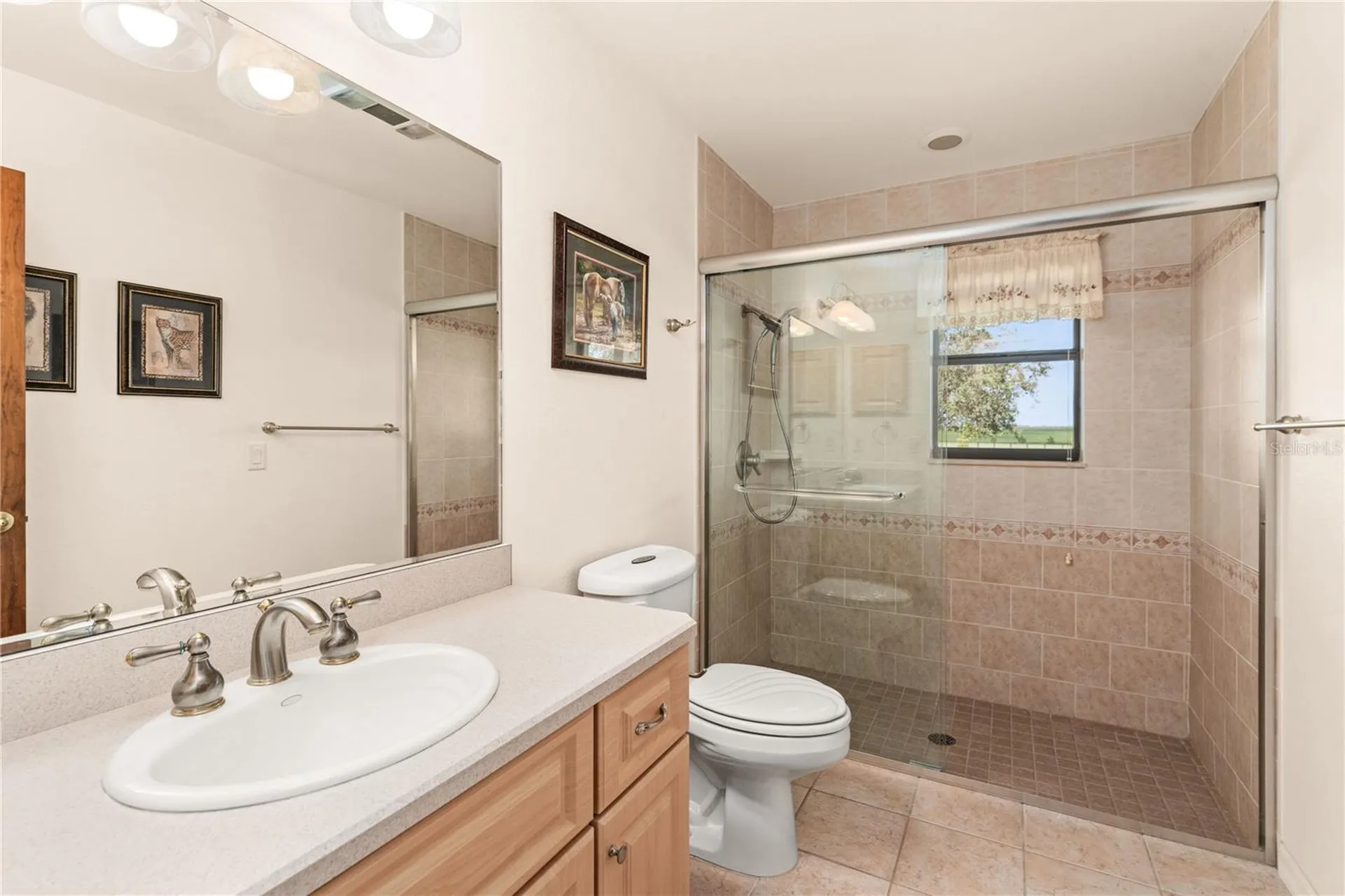 3650 SE 165th Avenue Morriston FL 32668