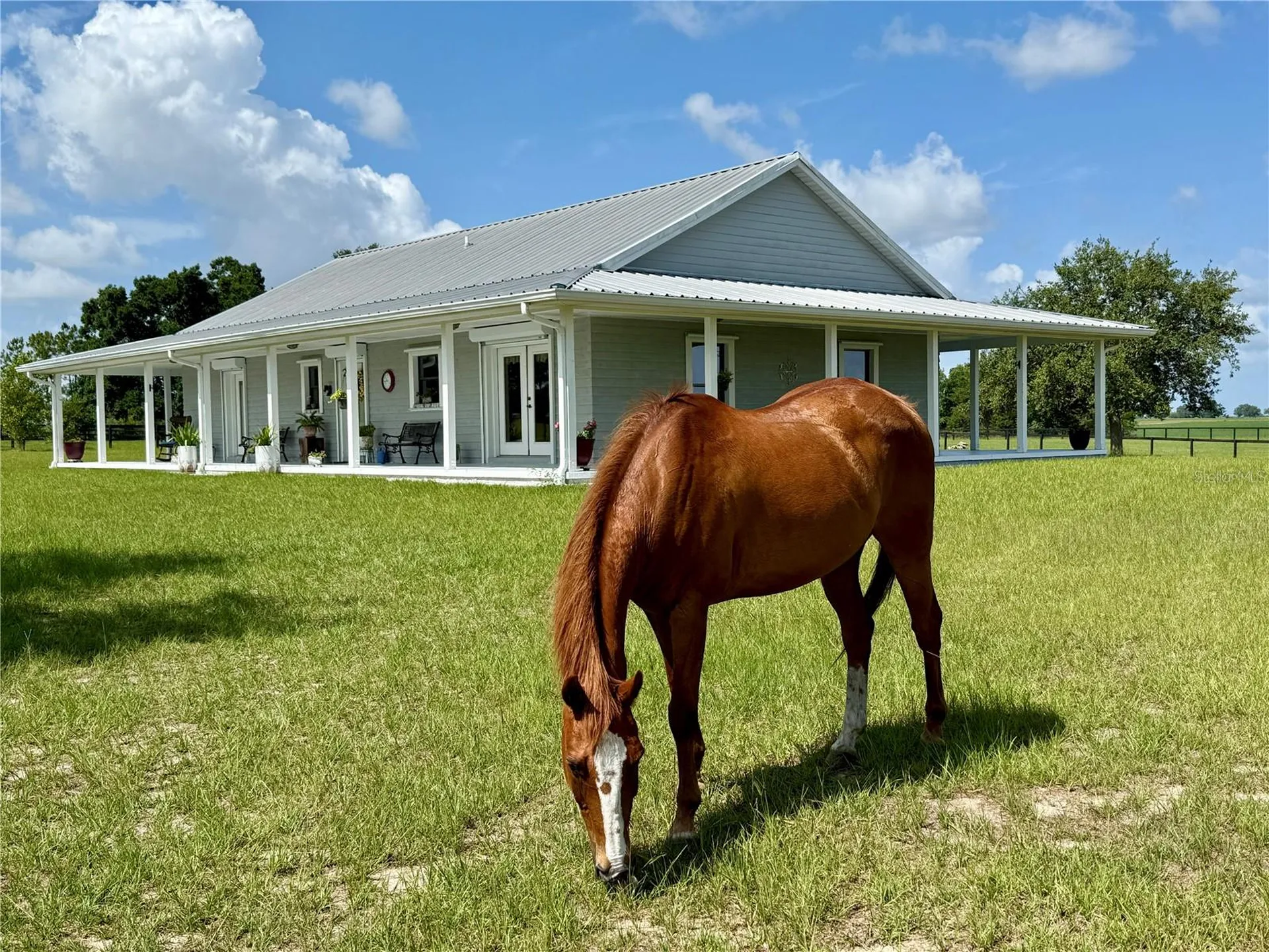 3650 SE 165th Avenue Morriston FL 32668