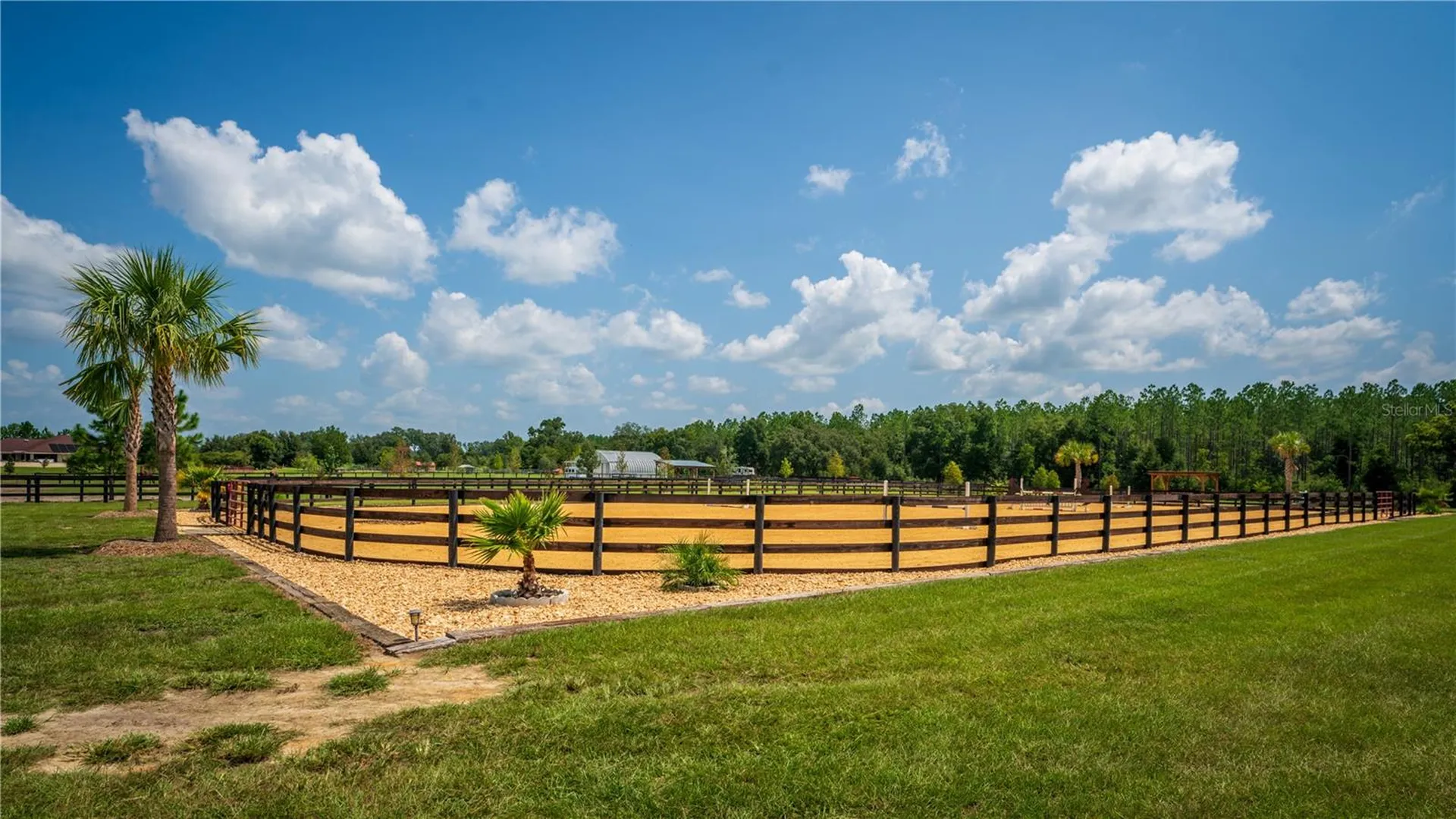 3650 SE 165th Avenue Morriston FL 32668