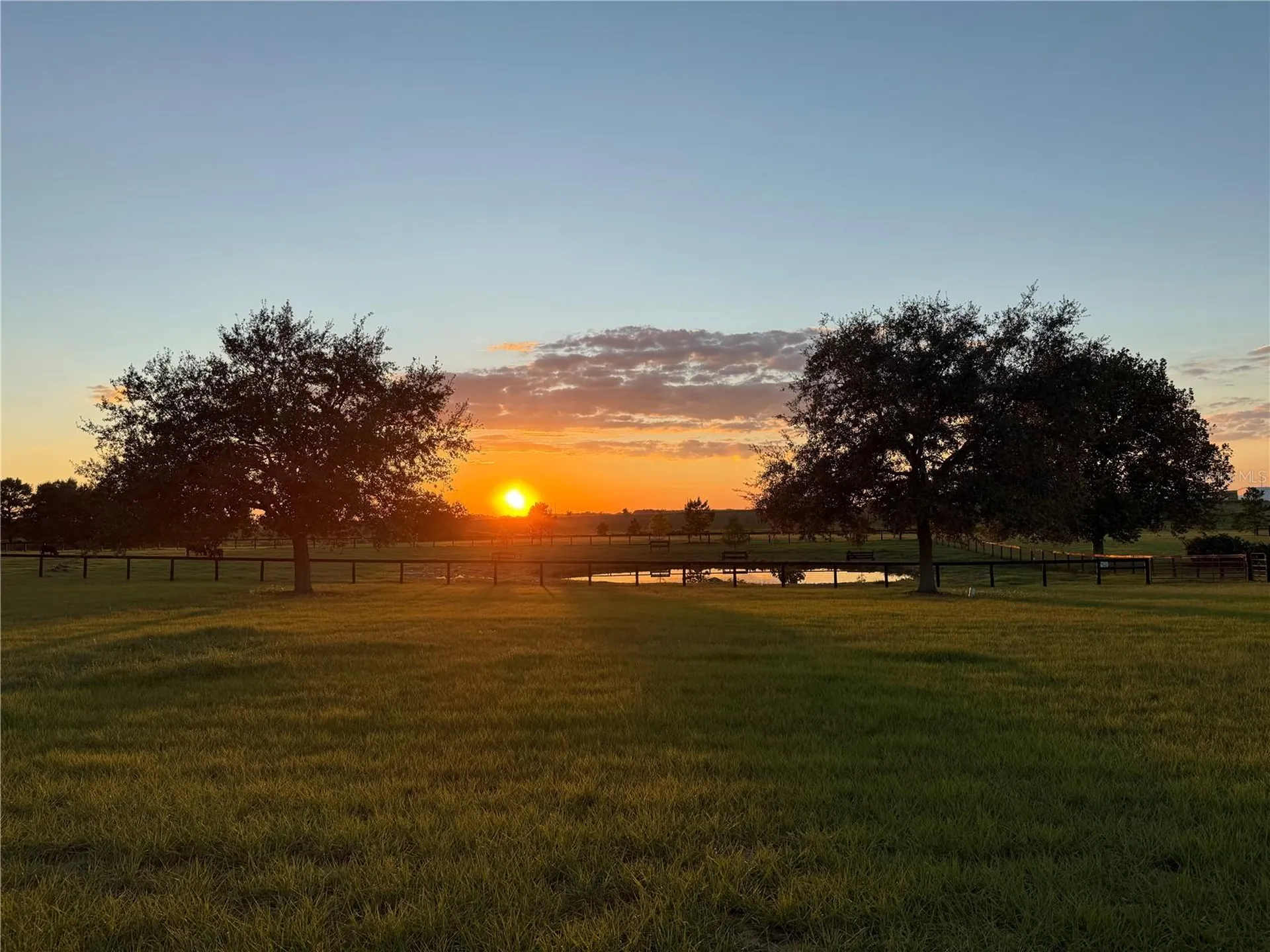 3650 SE 165th Avenue Morriston FL 32668