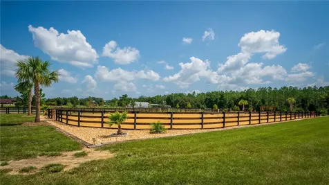 3650 SE 165th Avenue Morriston FL 32668