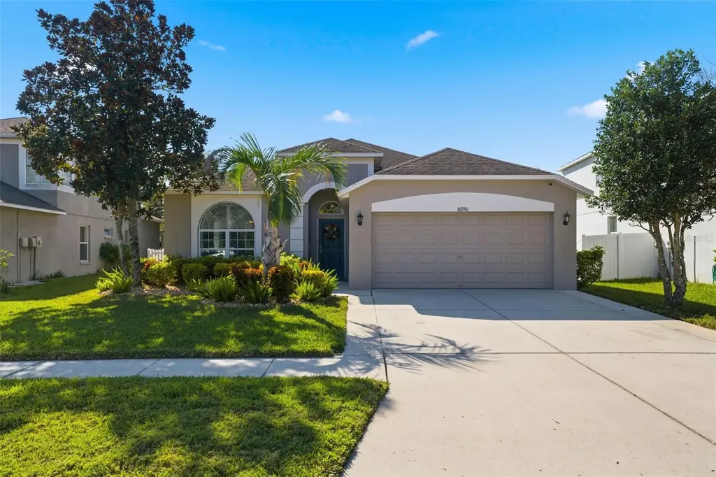 18930 Narimore Drive Land O Lakes FL 34638