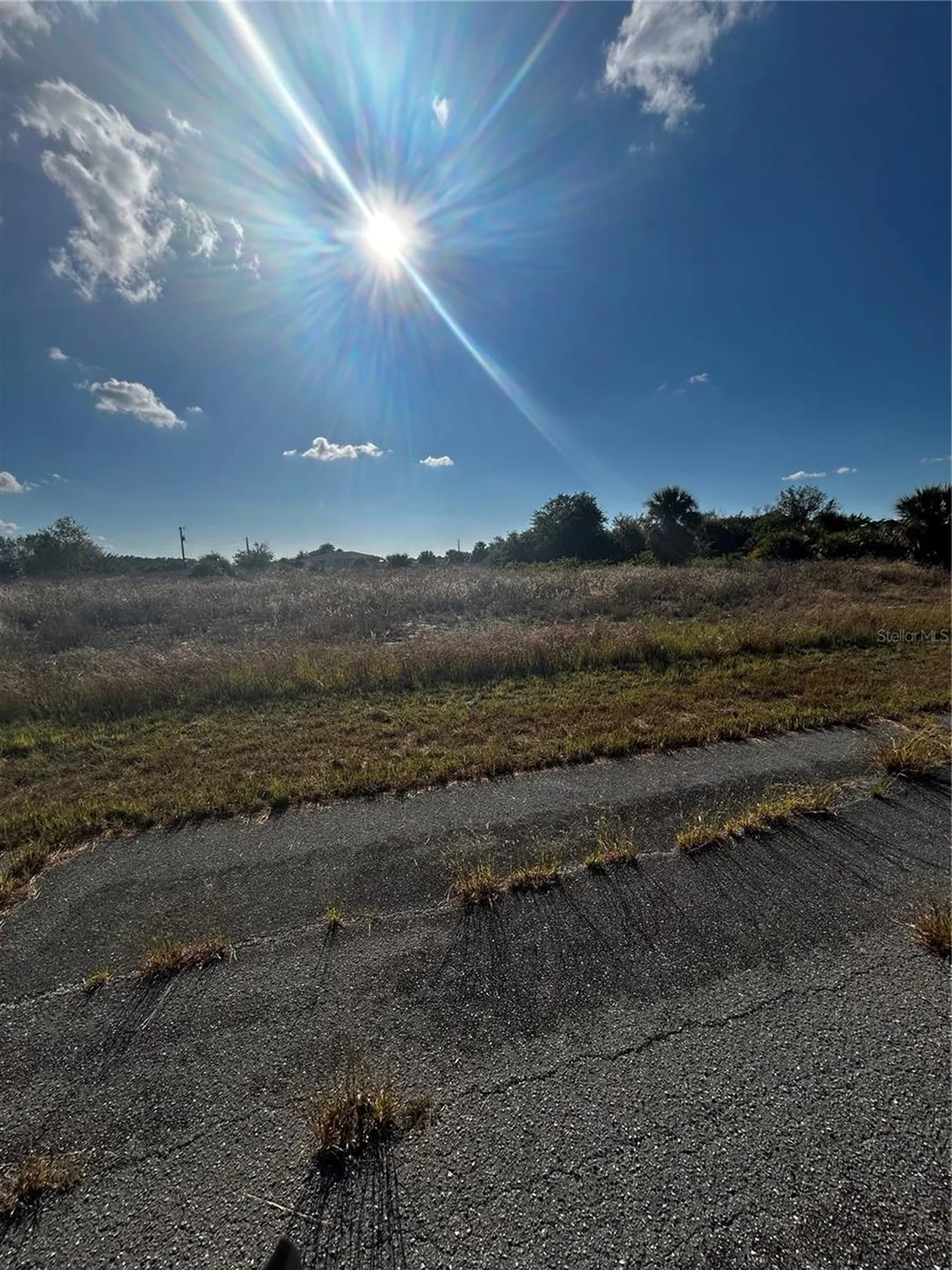 216 Leinster Place Labelle FL 33935