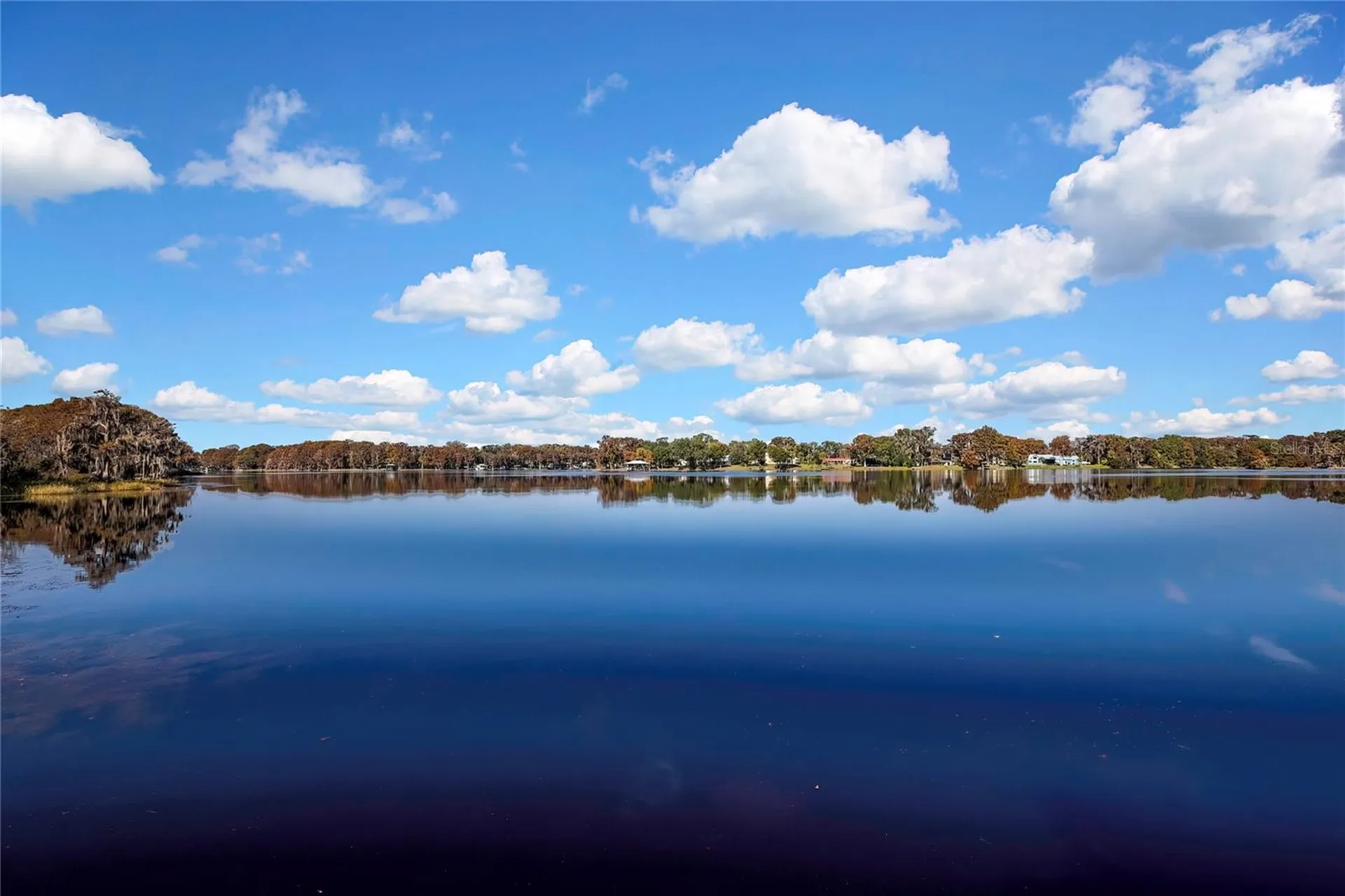 6670 S Merleing Loop Floral City FL 34436