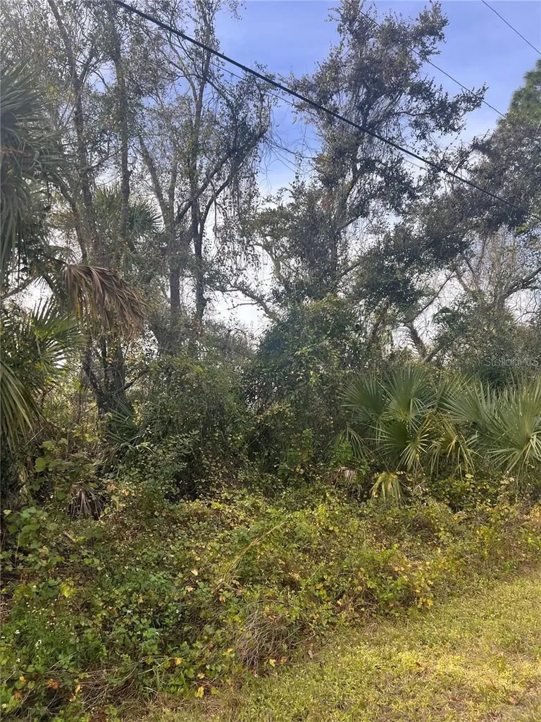 Firebrand Road North Port FL 34288