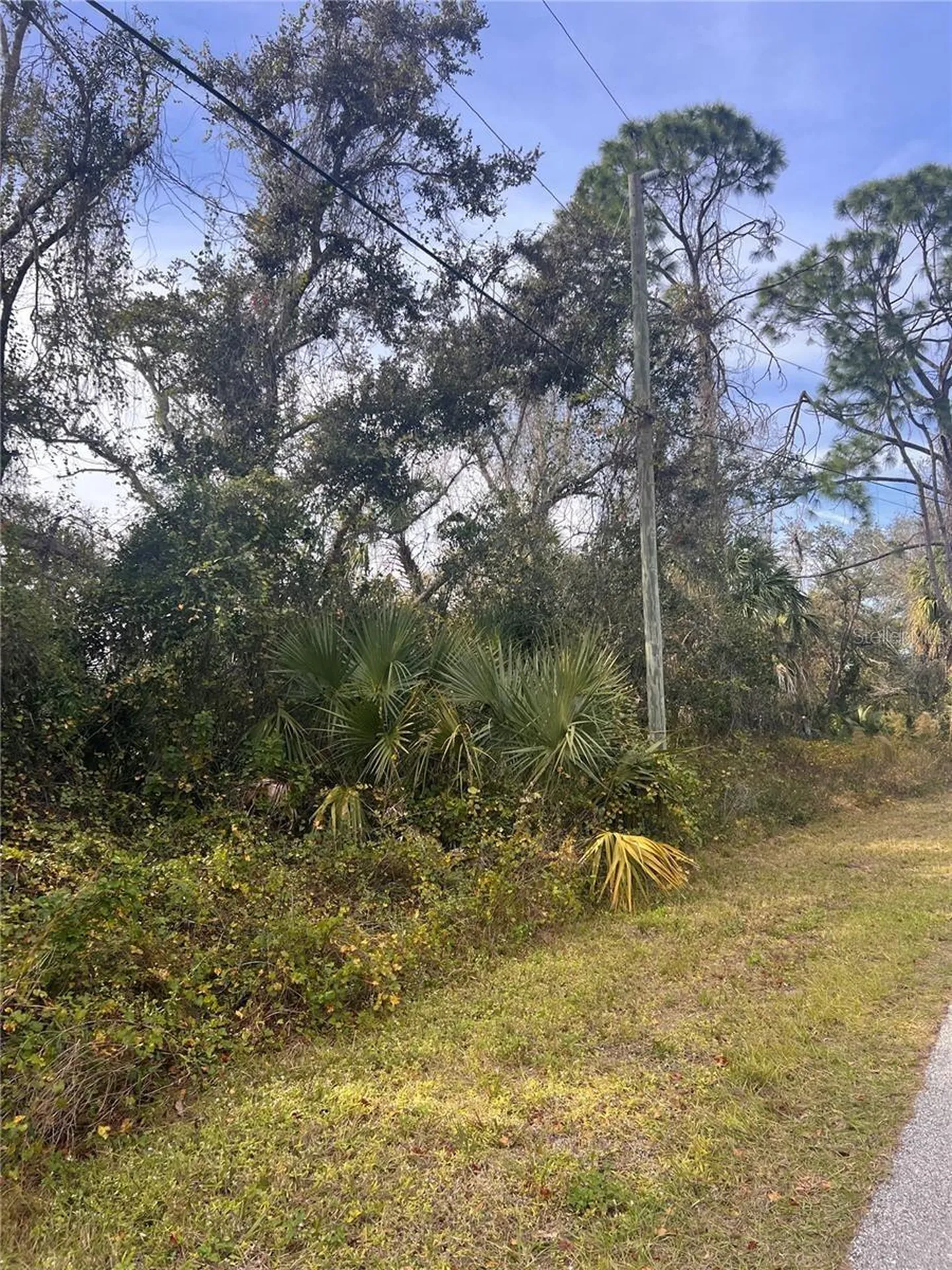 Firebrand Road North Port FL 34288