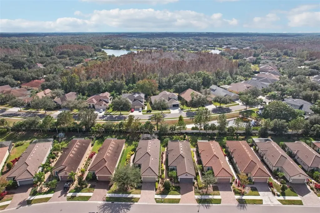 8433 Alberata Vista Drive Tampa FL 33647