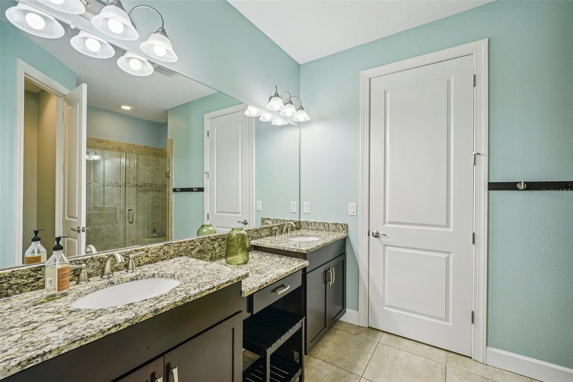 8433 Alberata Vista Drive Tampa FL 33647