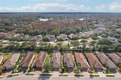 8433 Alberata Vista Drive Tampa FL 33647