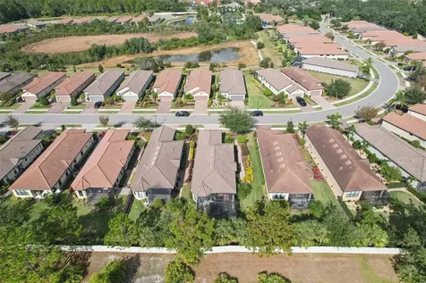 8433 Alberata Vista Drive Tampa FL 33647