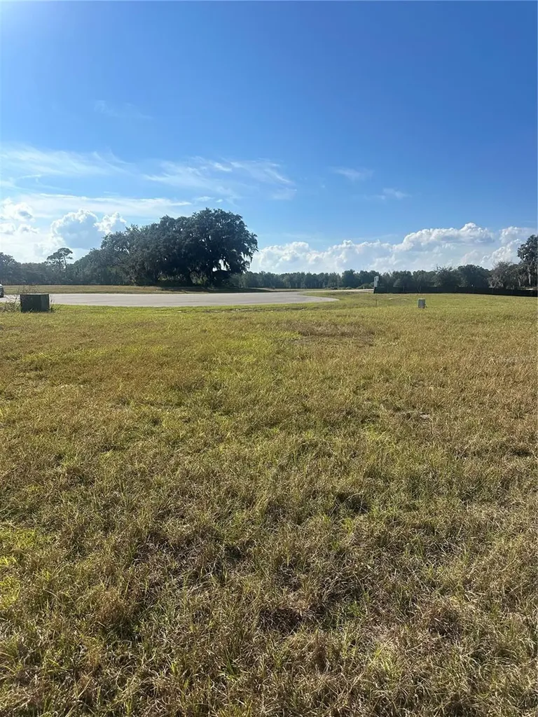 38553 Wooded Meadow Drive Umatilla FL 32784