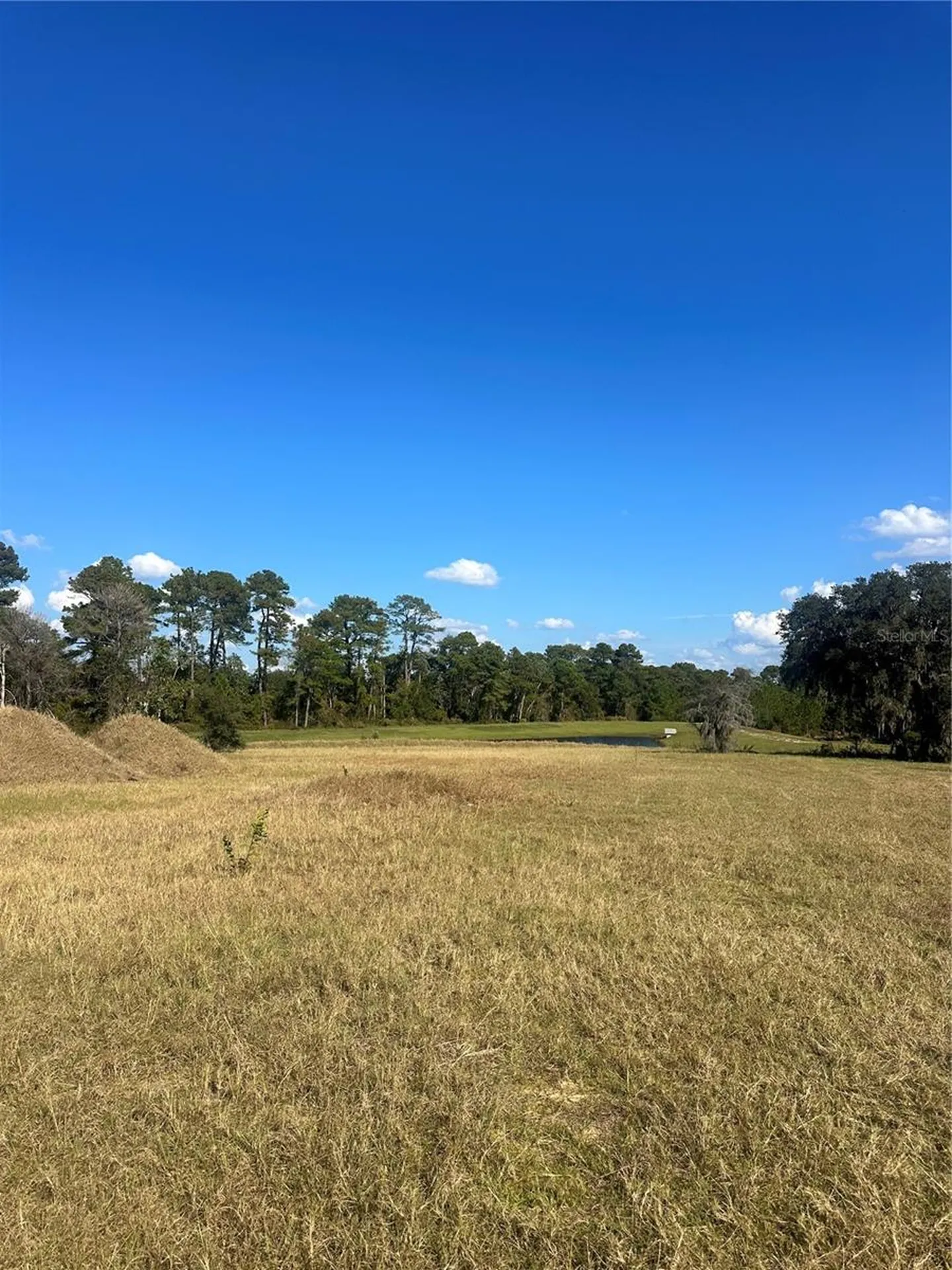 38553 Wooded Meadow Drive Umatilla FL 32784