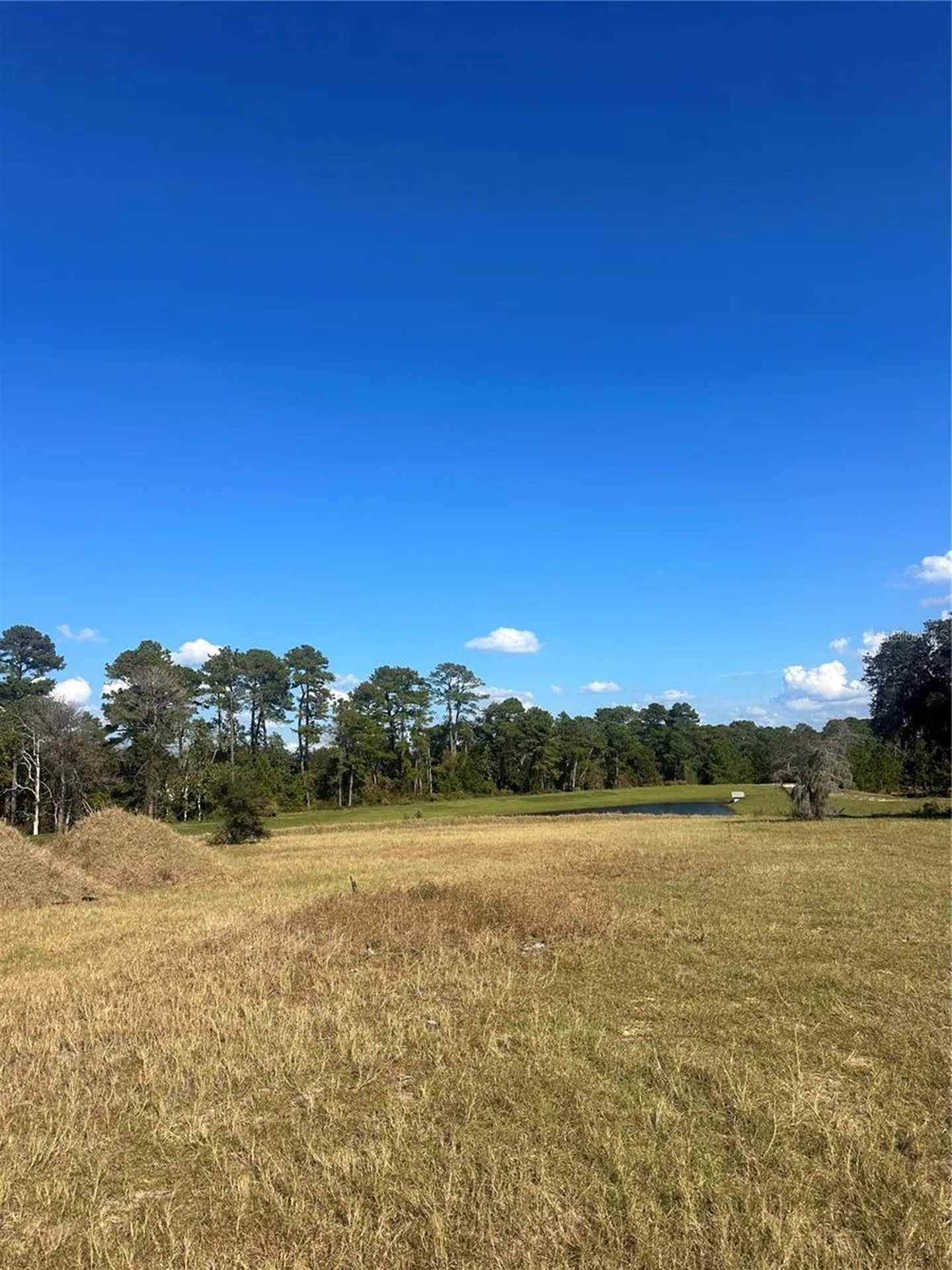 38553 Wooded Meadow Drive Umatilla FL 32784