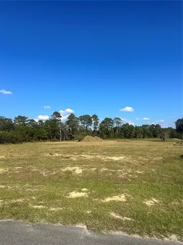 38553 Wooded Meadow Drive Umatilla FL 32784