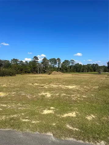 38553 Wooded Meadow Drive Umatilla FL 32784