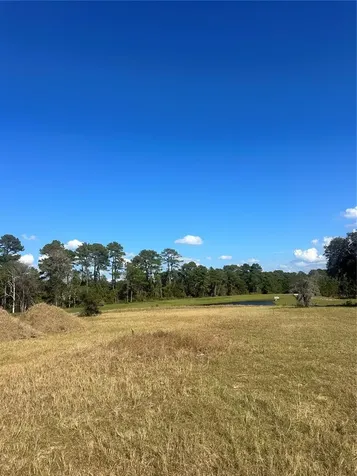 38553 Wooded Meadow Drive Umatilla FL 32784