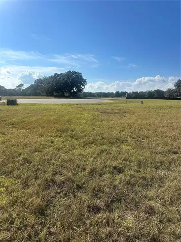 38553 Wooded Meadow Drive Umatilla FL 32784