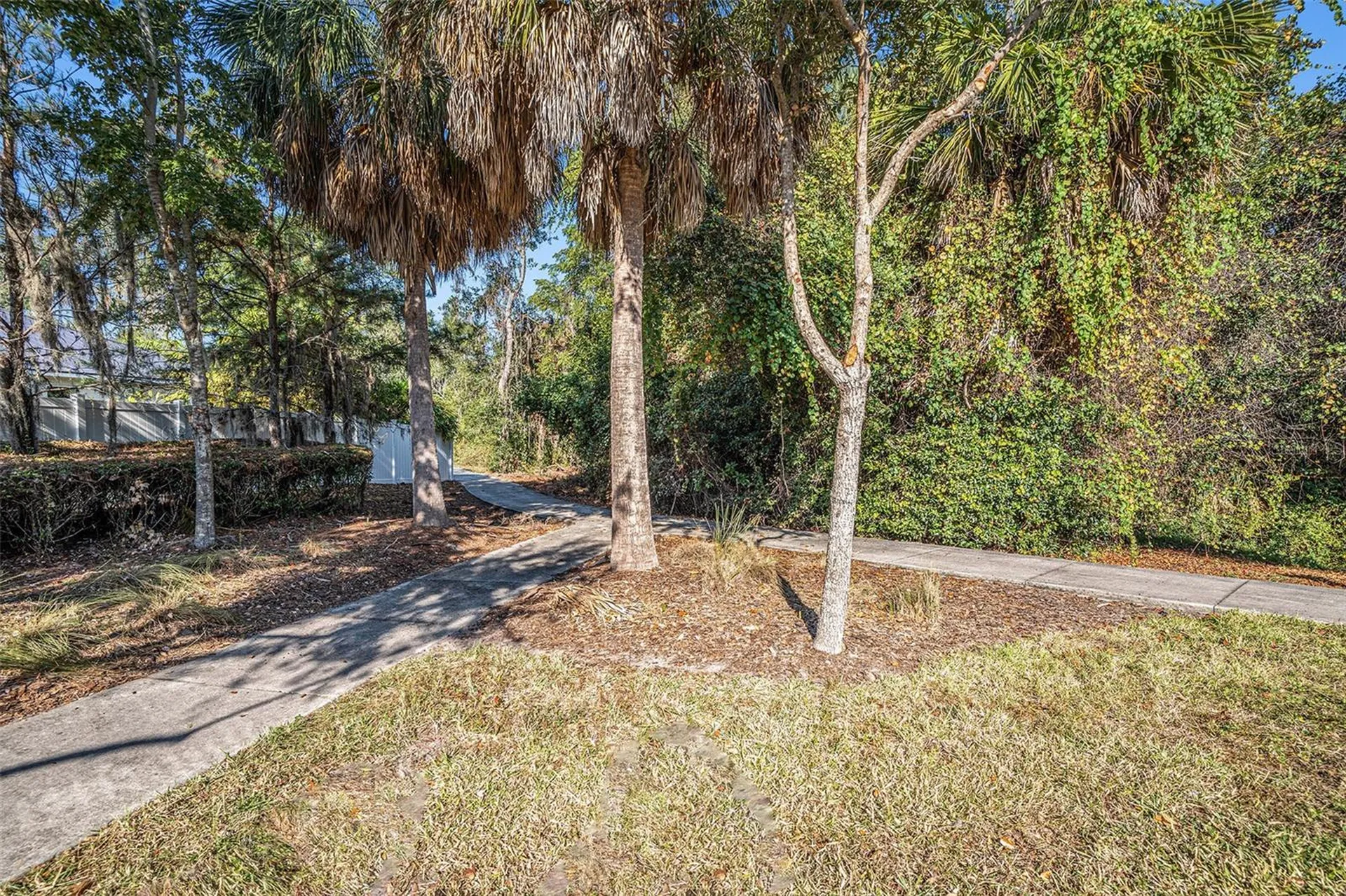10626 Park Meadowbrooke Drive Riverview FL 33578