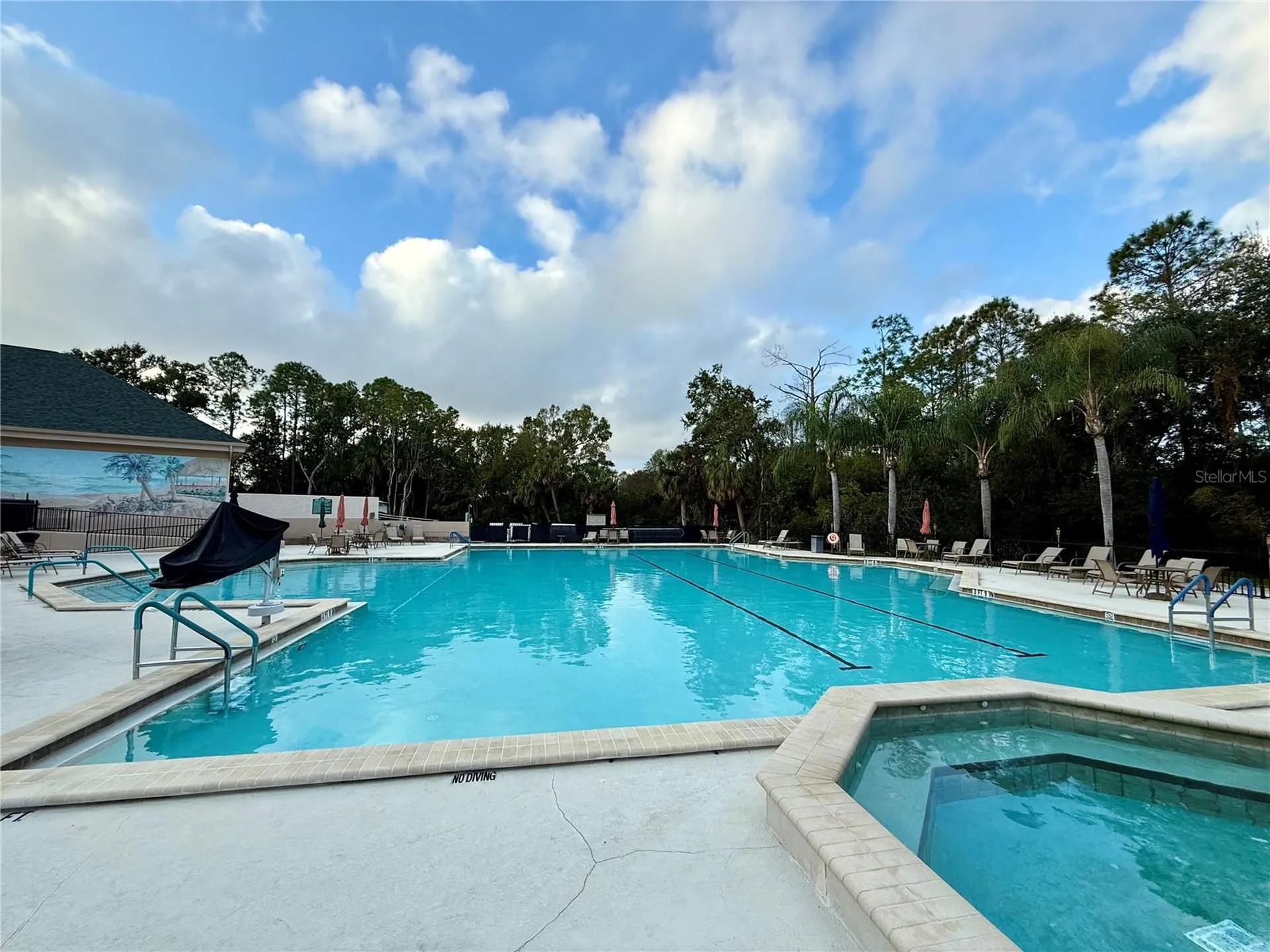 9500 Green Needle Drive New Port Richey FL 34655
